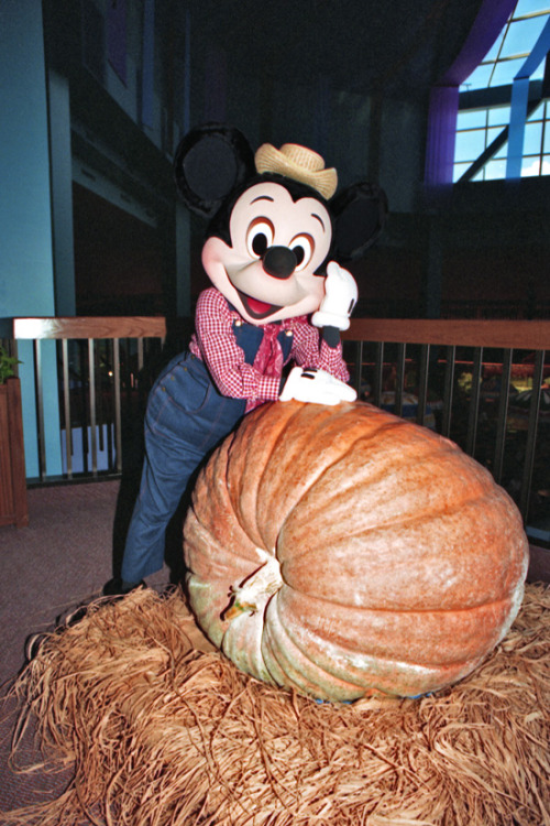 Mickey Mouse with a large pumpkin at Epcot in The Land Pavillion, 1994
