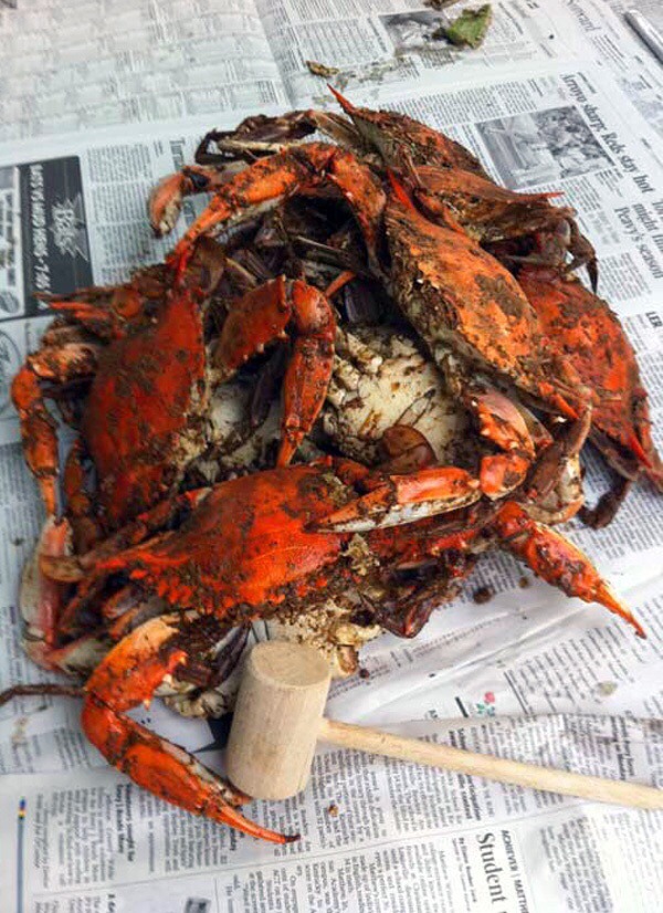 gentlemansessentials:  Crabs   Gentleman’s Essentials  😍