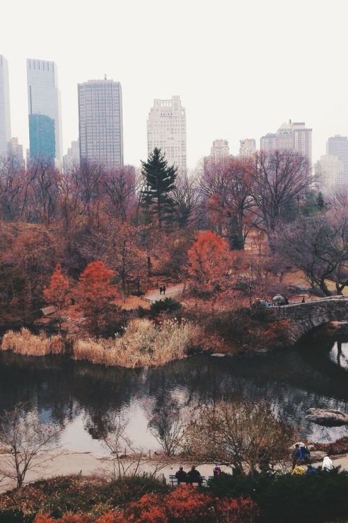 Central Park, New York City, NY, USA