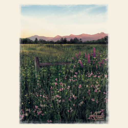 Soft SunsetPainting of the trails near my home where I go for walks in the evening.(Painted in Photo