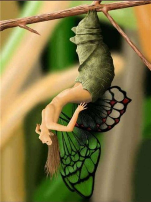 numberonestarlightbeliever:  ……………….I WILL REBORN …..SOON AND STRONGER…..AAHHHHH