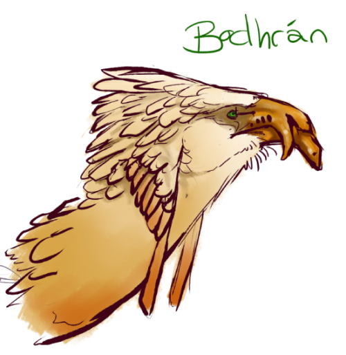 Meet Bodhrán.He&rsquo;s an Oldblood Coatl and one of the Gatekeepers/Sentinels.He&rsquo;s a patient 