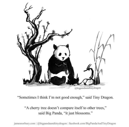 Big Panda and Tiny Dragon #EthicalMemes
