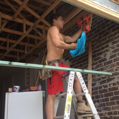tradieapprentice: TradieApprentice: Michael M - Chippy Clearly a well trained one at that. He knows 