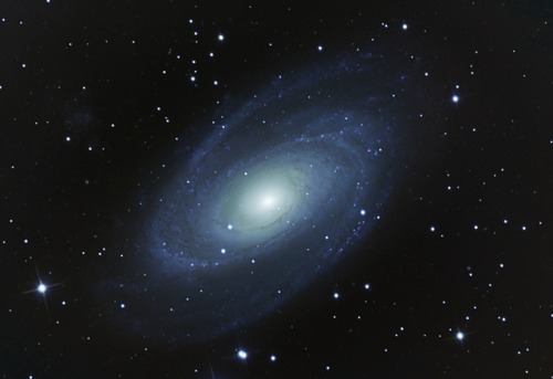 thenewenlightenmentage: Grand Spiral M81