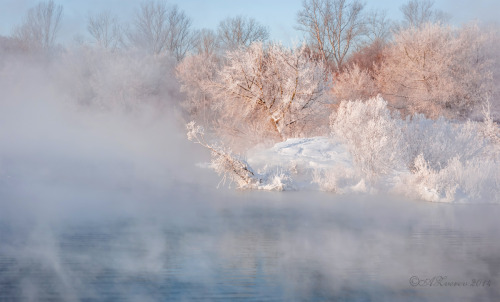 blissfully-winter: expressions-of-nature: Winter Morning : Anatoly Zverev all year round winter/xmas