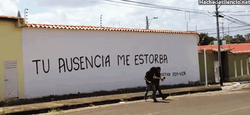 Efímera Belleza