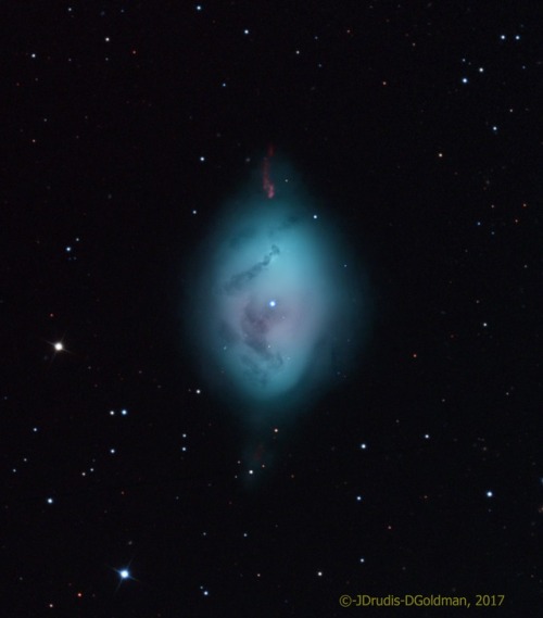 just–space:NGC 1360: The Robin s Egg Nebula : This pretty cosmic cloud lies some 1,500 light-y