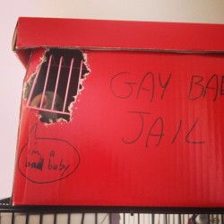 boltong:  gay baby jail 