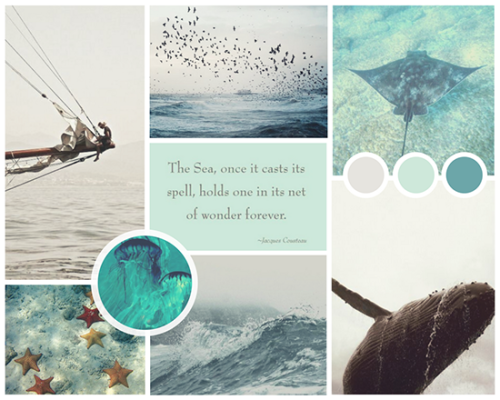 moodboard request: wonder + sea life