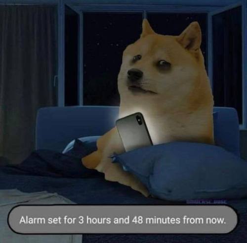enbyoctoling: [image id: a meme featuring an exhausted-looking doge sitting in a dark bedroom with b