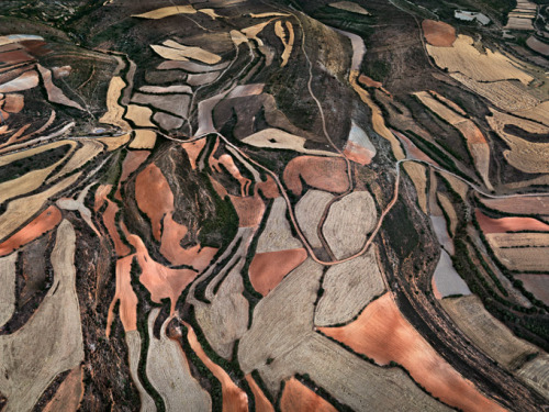 alunaes:  botanize:  Edward Burtynsky, Monegros County, Spain, (2010)  I see a woman’s body in