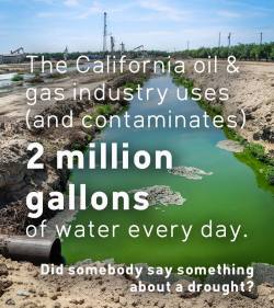 america-wakiewakie:  Californians Against Fracking Releases New Data Analysis: Oil Industry in California Wastes 2 Million Gallons of Water Each Day | Californians Against Fracking Each day, the oil and gas industry uses more than 2 million gallons of