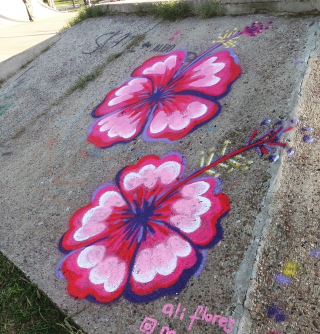 Rosas chinas en el skate park de Paraná #hibiscus#rosa#montanacans#montana94#mtncolors#muralismo#murals#myart