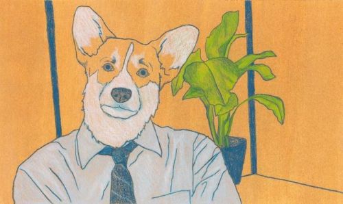 Corgi Jim (Halpert) is back in my possession after the show and he can be yours for $150. Shipping i