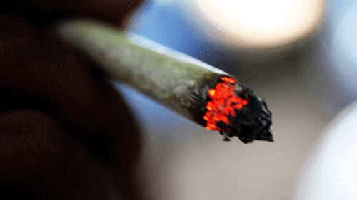 laudanumandabsinthe: pepetronico528: Le Joint La Buzz 