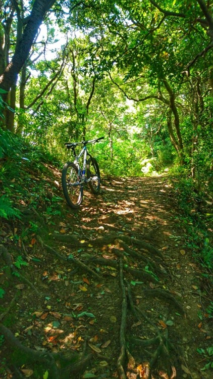 krs955: local satoyama trail ride, satoyama work, and local event.