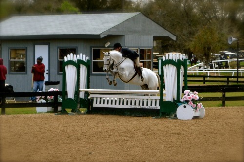 ©Tiana.Chapman Photography HITS Ocala 2013