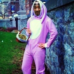 weedporndaily:  Happy Easter. Hahahahahahahah