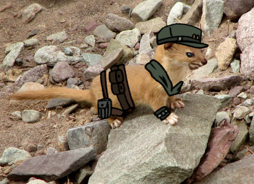 Weasel MacCready!?