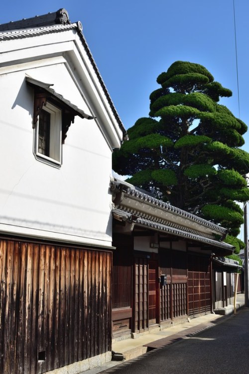 norisunorin:  奈良県　今井町 Nara Imaicho oldhouse