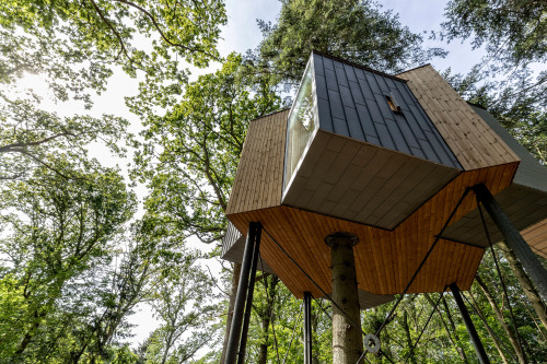 Good wood - been offline travelling but am back with a belter! This treehouse in a Danish forest was