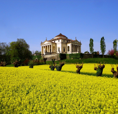 fabforgottennobility:Palladio - la Rotonda (in fiore), Vicenza da a.calandTramite Flickr: