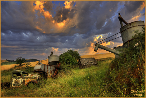 Probably a few pigeons hanging out around this abandoned homestead.Photo :: C. Knowles 2010