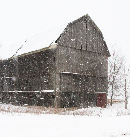 wistfullycountry:  brown barn by reading my tea leaves on Flickr. 