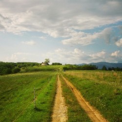 flashblesst:  Italy, north-east, hills near Slovenian border