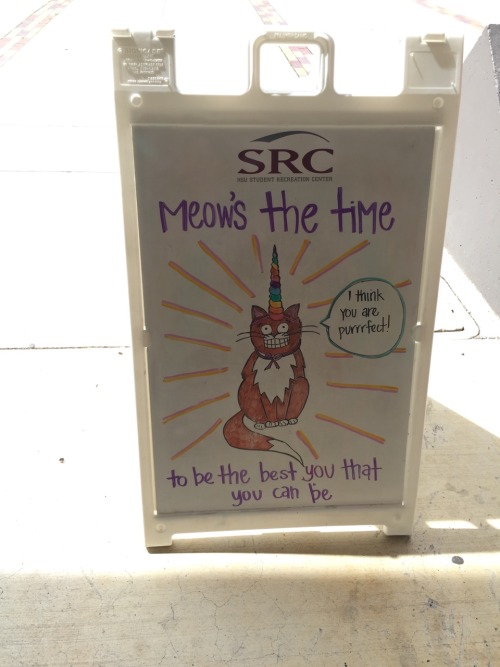 princess-from-the-moon:  eatcleantrainharder:   So there’s a guy at my gym who draws these on a weekly basis and I don’t want it to stop Part 6   hadoyastopthis I think you”ll enjoy this