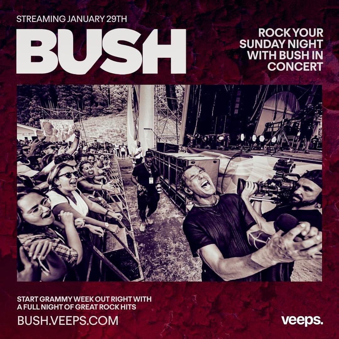 I am seeing @bush & @jerrycantrell live in concert tonight at the @hollywoodpalladium 😎 If you can’t make the show in person, you can watch the show live thanks to @veeps 🖥️💻📱 (at The Hollywood...