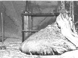 unexplained-events:  The photo above is the closest humanity has ever come to creating Medusa. If you were to look at this, you would die instantly.  The image is of a reactor core lava formation in the basement of the Chernobyl nuclear plant. It’s