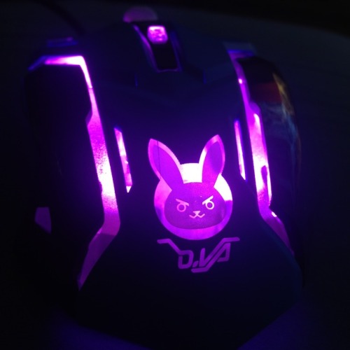 youngllady:phyla-vell:look how amazing my new mouse is!op posted where they got it !!!