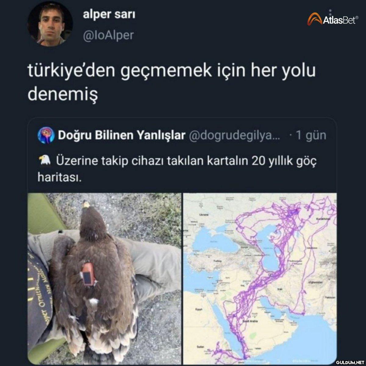 alper sarı @loAlper...