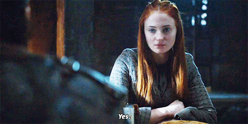 cerseilannister:Jon Snow & Sansa Stark: A Summary