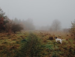 danielodowd:  walkies with Charles