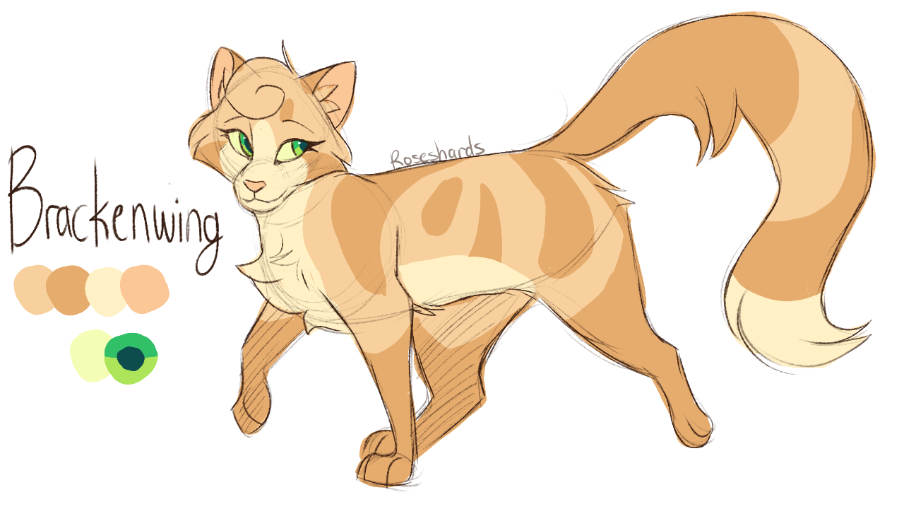 Warrior Cat Designs