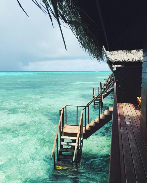 🌴🌍🌊