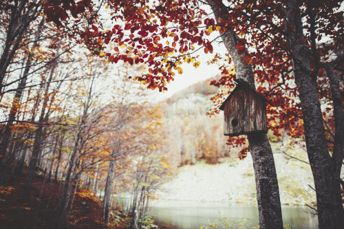 elenamorelli:  { there is still life ahead } 