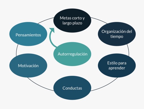 Teoras Organizacionales