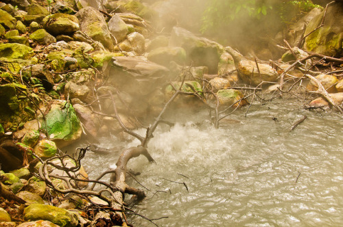 A boiling jungle in Costa Rica It is an area of dense rainforest, but the foliage, it emerges steam 