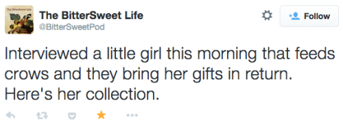 baelgrave:tetraghost:i wish birds brought ME presentsNo, but think about this.The crows she feeds obviously have their own little lives. They go about their business, and they spot *pretty thing* or /unique thing/ in question. What gets me is that the