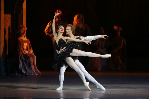 galina-ulanova:Anastasia Matvienko as Odile, and Denis Matvienko as Prince Siegfried, in Swan Lake (