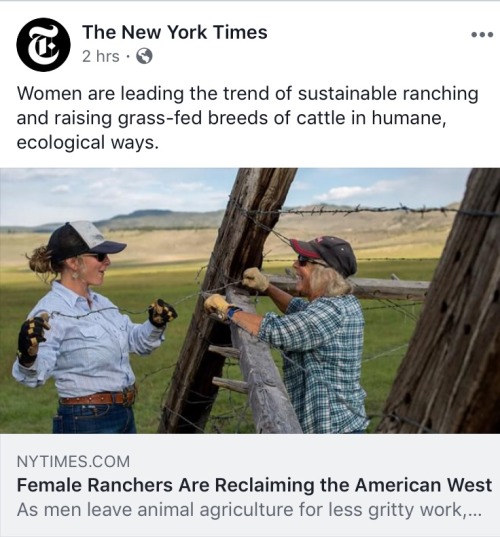 THE LESBIAN AGENDA IS SUCCEEDING 