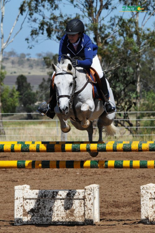 soundtrack-for-lovers:Bugsy at the Aus day champs! I love getting photos taken of him because he rar