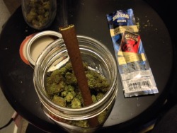 t-rex4200:  Blunt