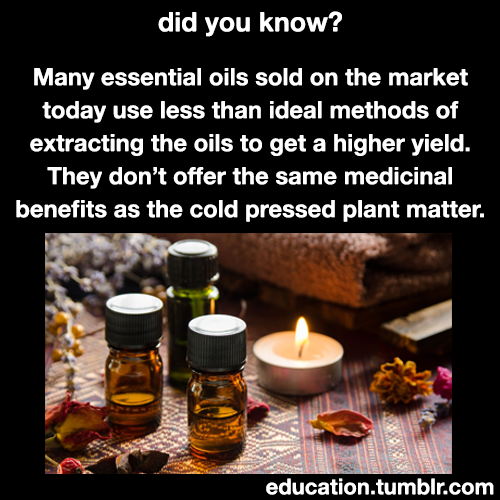 wespikeloveus: lifeisgoldenforfree:  bisexualgodess16:  education: Learn More About