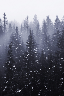 moody-nature:  Fernan Hill(Fog) | By Robert