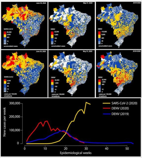 BRAZIL:  COVID and Dengue Cross-ReactivityA study led by Prof. Miguel Nicolelis from Duke University